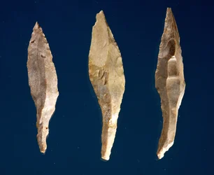Three arrow heads